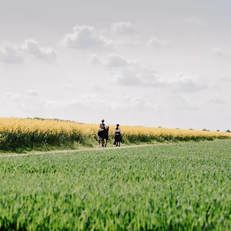 Werner Appartement *